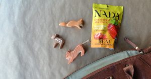 Nada - gezonde snacks van fruit aardbei