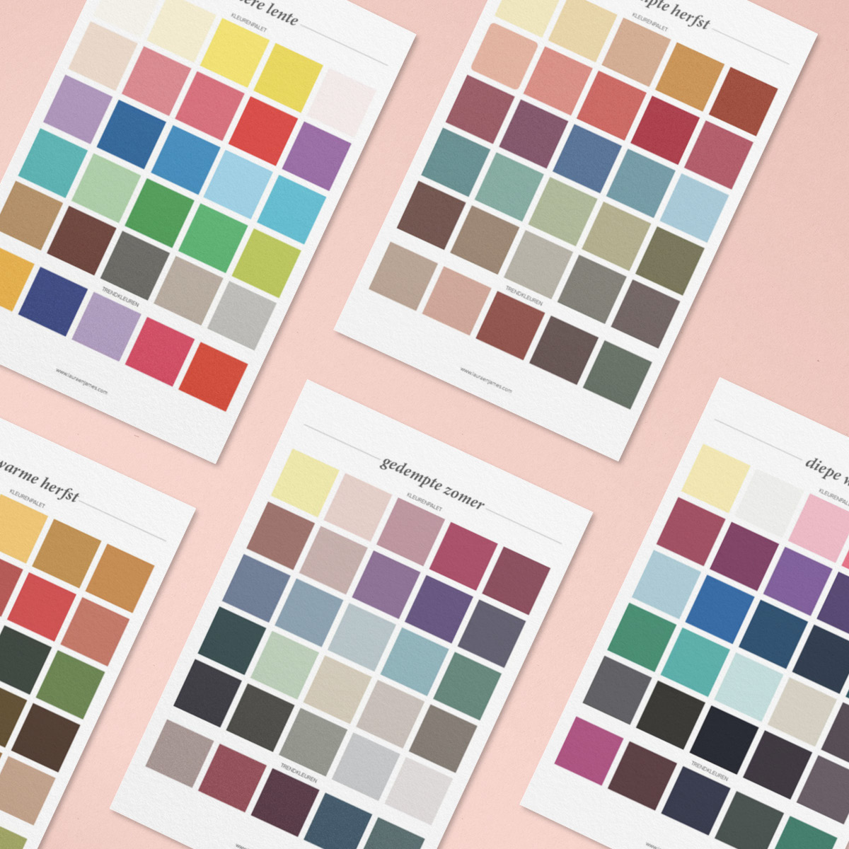Onderscheid Belang bedrijf Kleurkaarten 12 kleurtypes - Laura Lagom